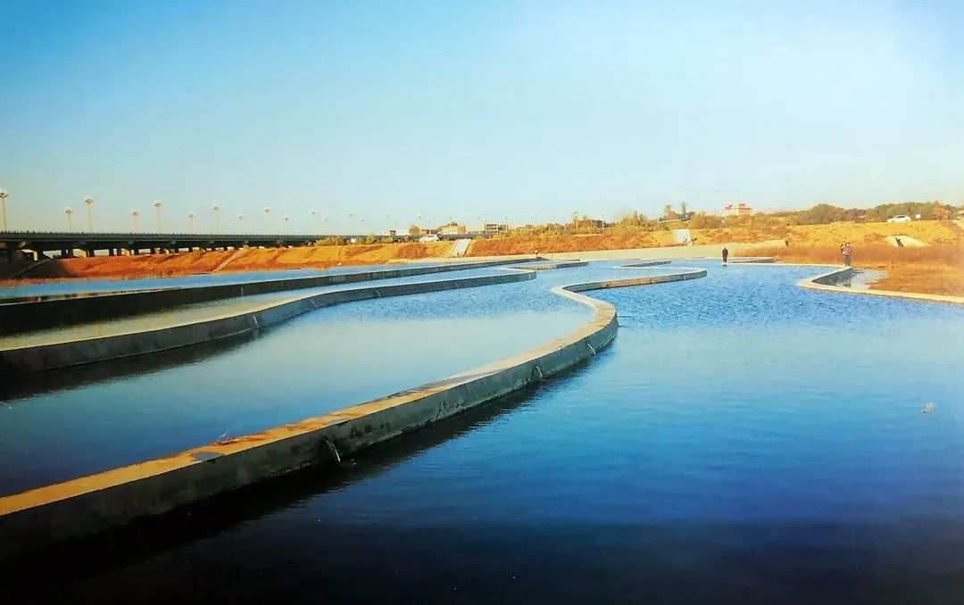 阎良区2020年考核优秀单位,阎良区政府目标责任奖发放