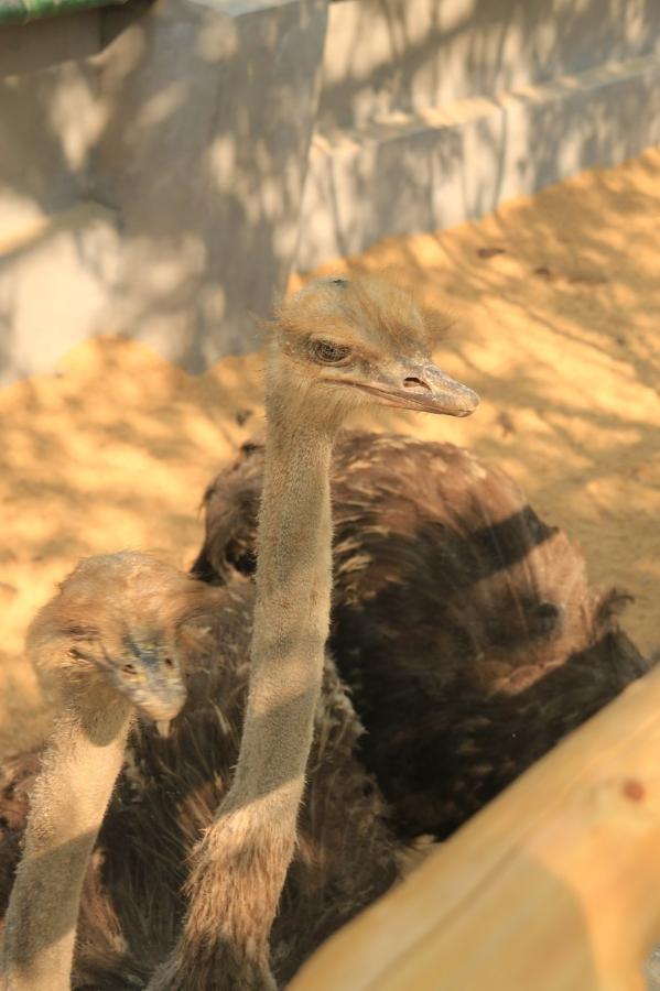 溶洞、观鸟、湿地雨林、网红吊桥、瀑布...只要99元小鲁哥带你清凉一夏