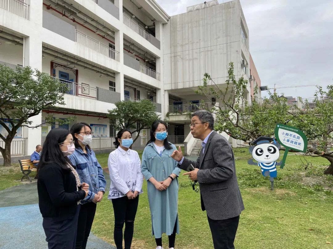 常青树教育培训,常青树怎么养护和管理