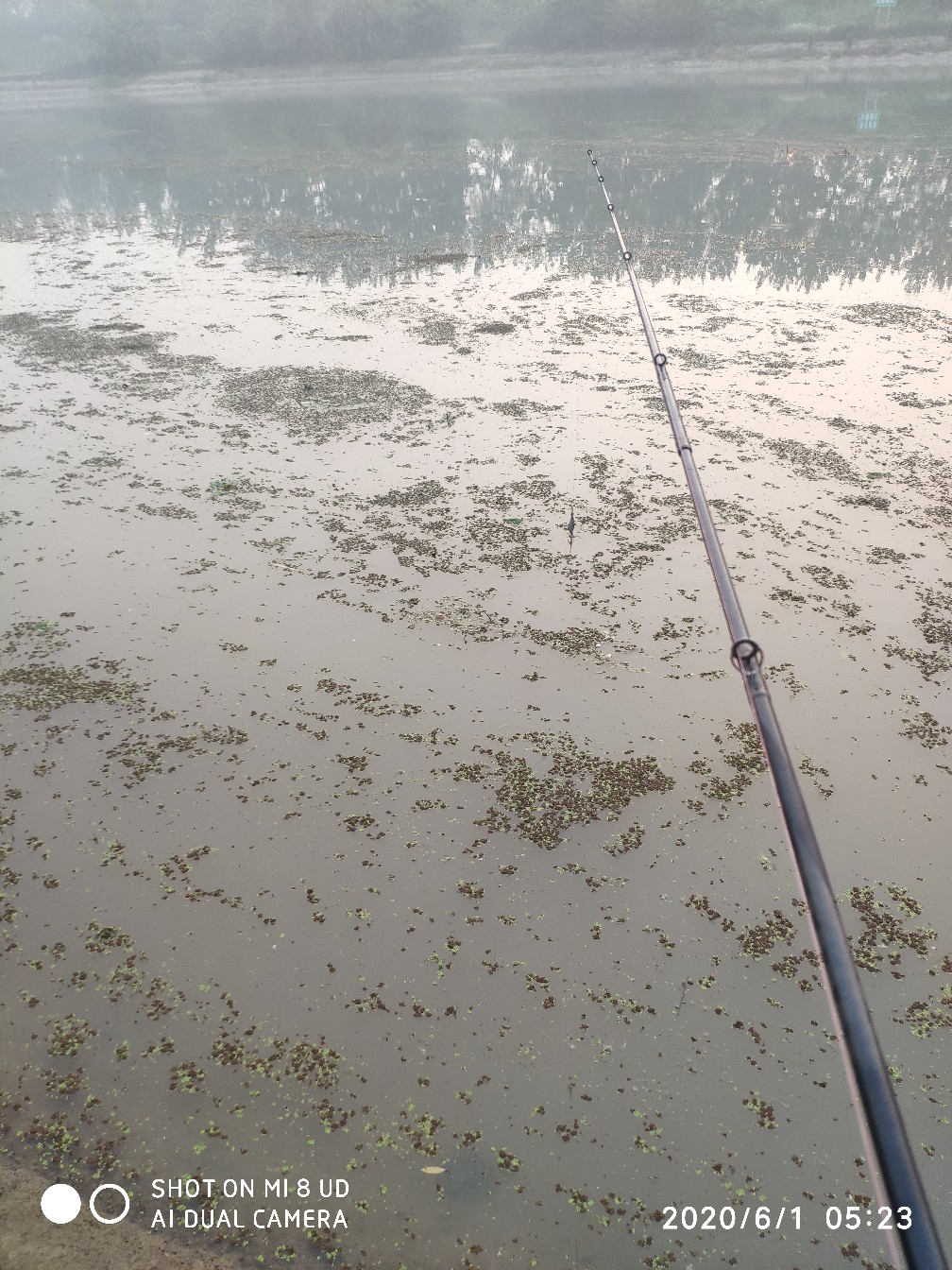 钓翘嘴亮片的挂法,亮片操作手法技巧