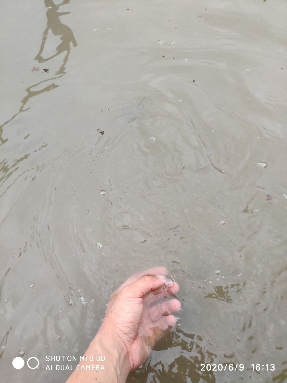 钓翘嘴亮片的挂法,亮片操作手法技巧