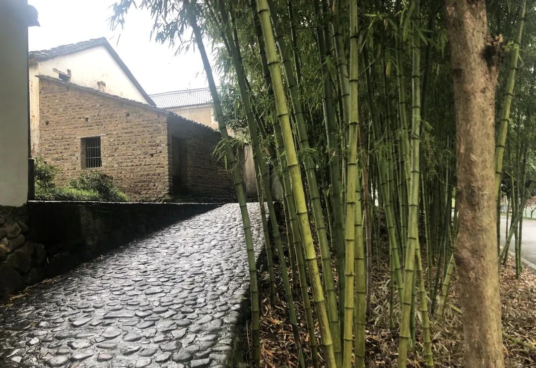 周末去哪儿⑫|王牌推荐，出行不愁！富阳山乡鲜得太“上头”啦！