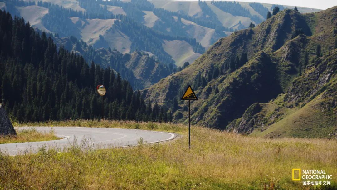 有一种异域风情的美,有一种前所未有的力量充斥着我