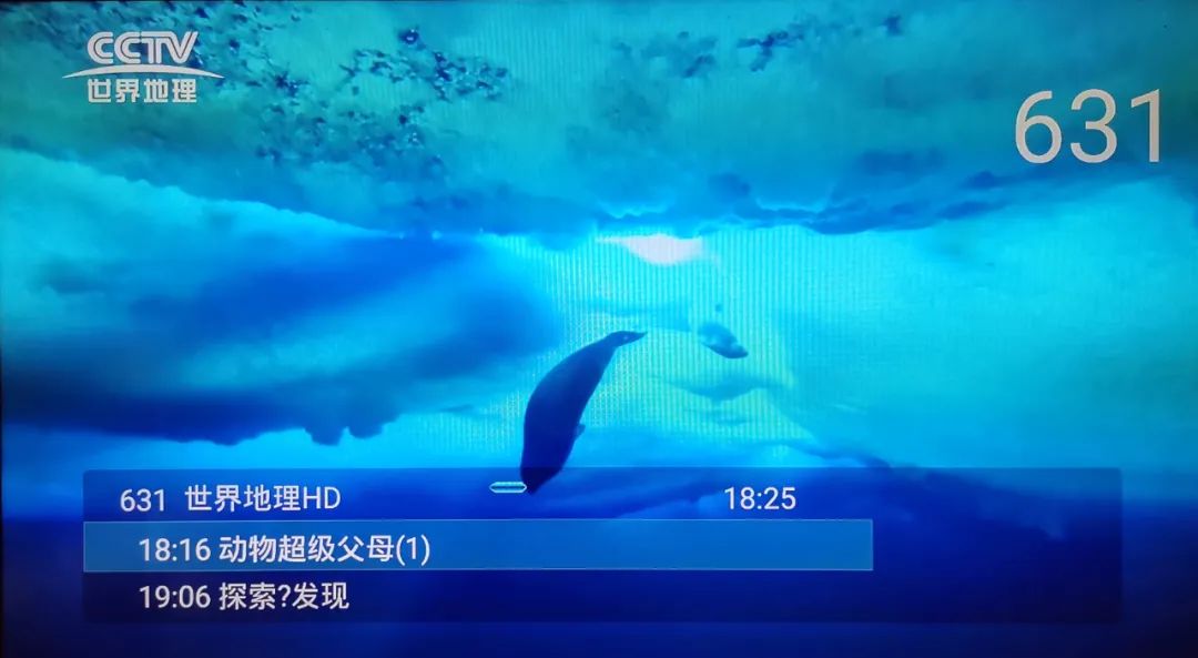 好消息源源不断的到来,好消息不断传来