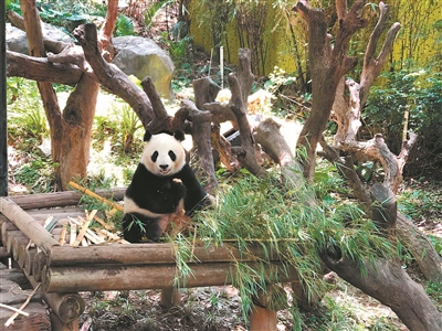 1元抢购为什么不火了,1元游太抢手分分钟被抢光