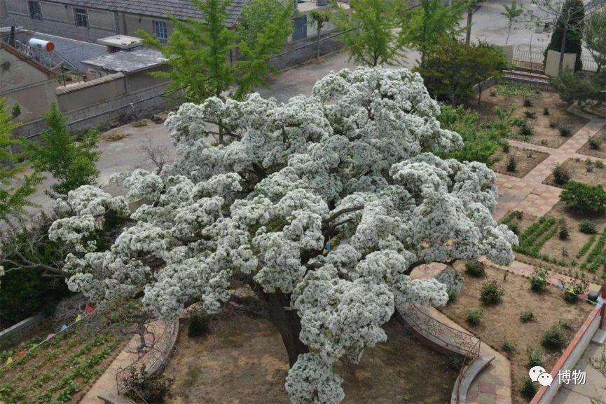 不孕不育到底是福报还是恶报,不孕不育的人后果