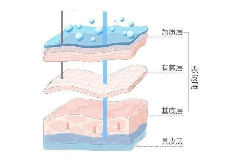 百人测评团|蒸笼天里,想让肌肤“一秒入水”,可能吗?
