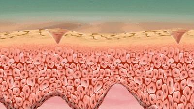 私密处日常护理最好的方法,25岁女性注意事项