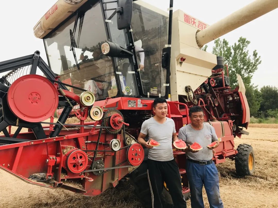 雷沃农机发展趋势,雷沃重工企业龙头