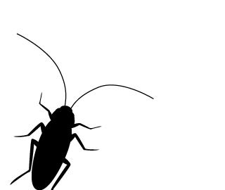 让蟑螂来一只死一窝的方法,蟑螂克星一窝端