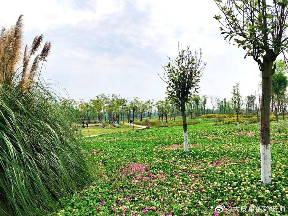 火了火了！成都又新添一个区，地铁10号线直达！夏日纳凉、吃河鲜…3日郊游路线，安排→