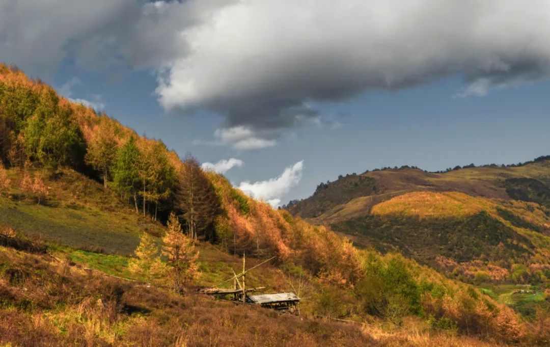 真香！去乐园耍水，到秘境观溪，本周门票福利已送达~
