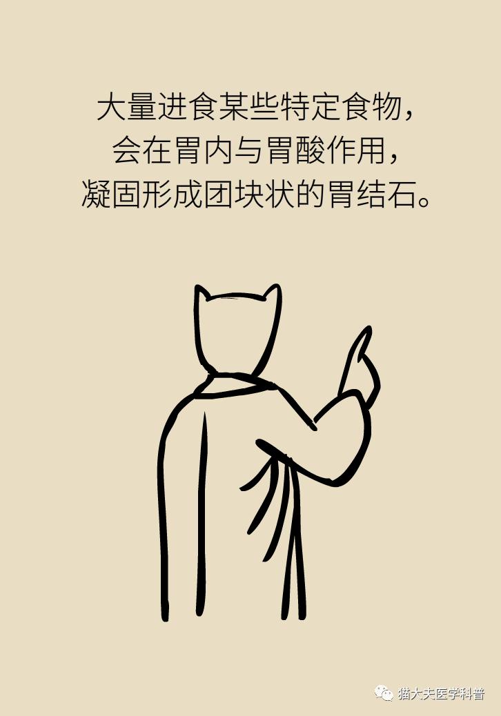 胆结石肝上也有结石怎么办,胆结石胆管里面有结石怎么办