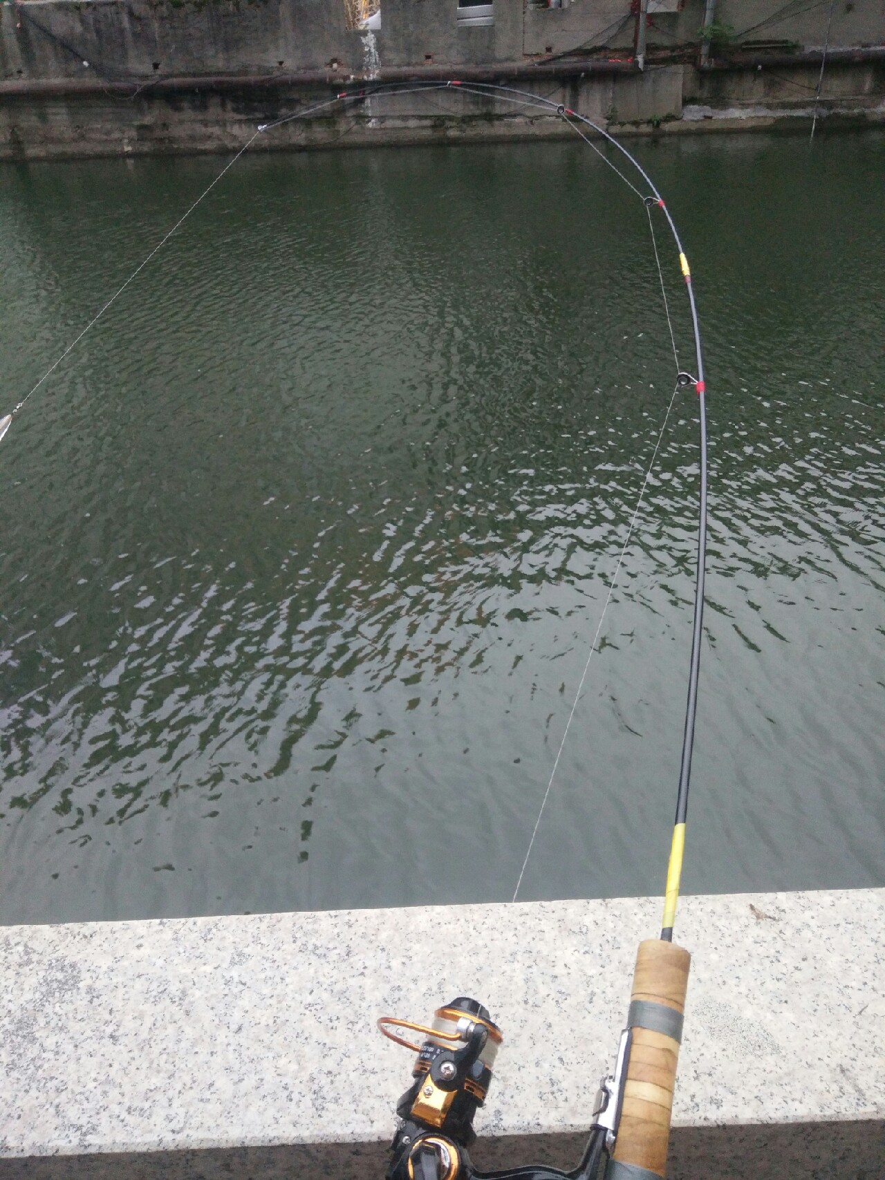 ul白条竿,白条ul竿推荐