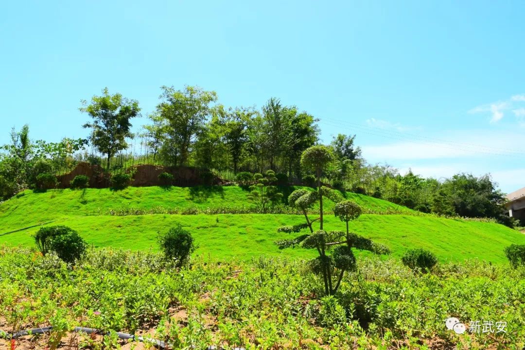 优秀！奖励1600万元！武安工业园区喜提全省县级第一