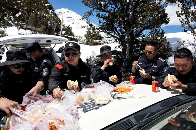 他们不是山神，却是虫草山上的守护神！