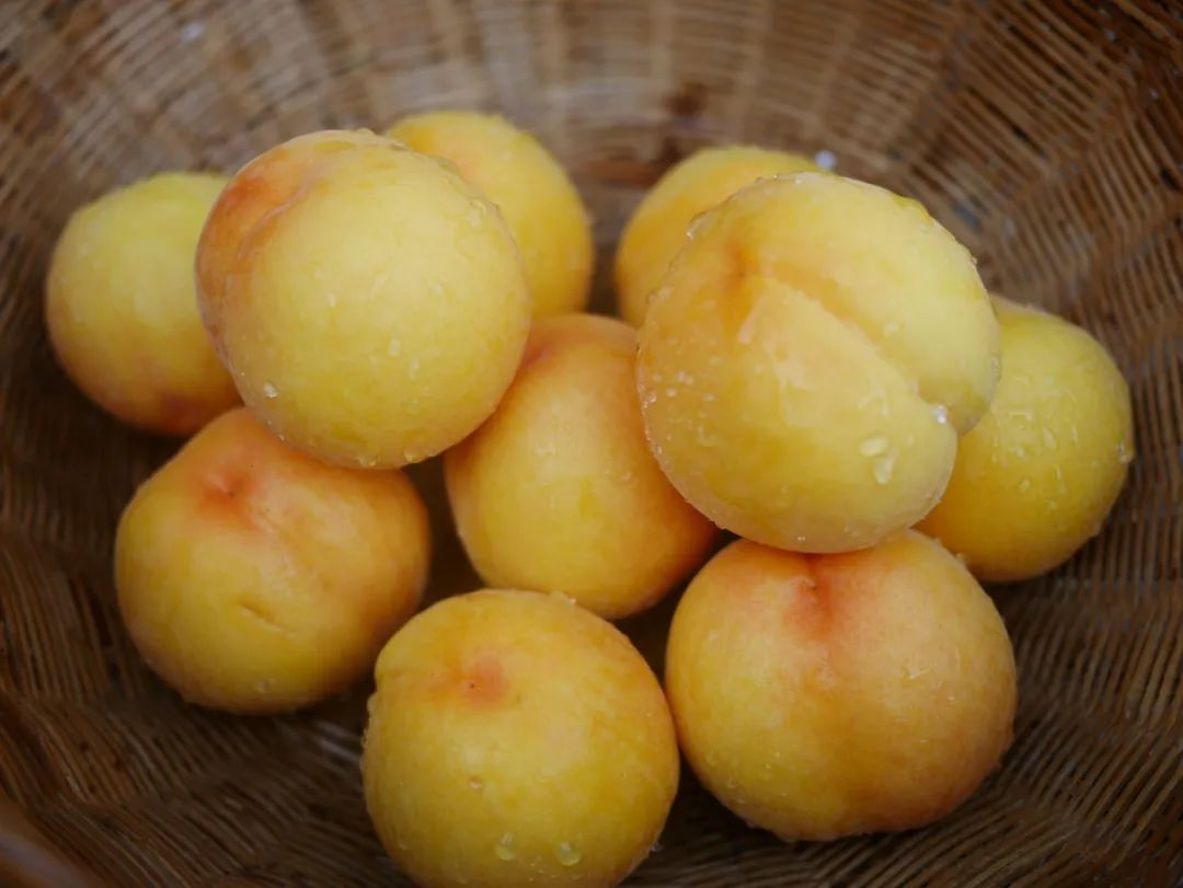 16°香甜，一*爆口**汁，称霸整个夏天的“蜜桃之王”来了