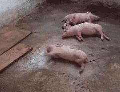 女子花三万买了一口价手镯,女子花了三百块买了一只黄金手镯