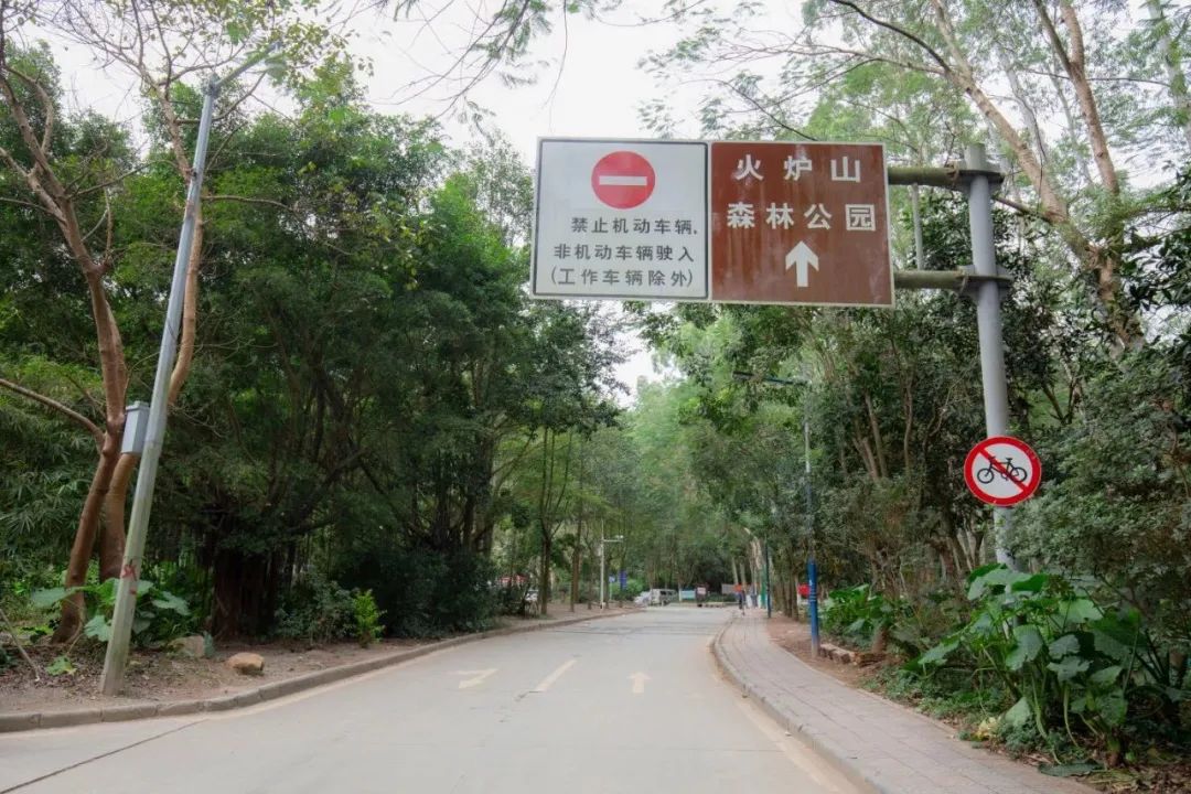 广州适合爬山的地方推荐,广州徒步爬山推荐