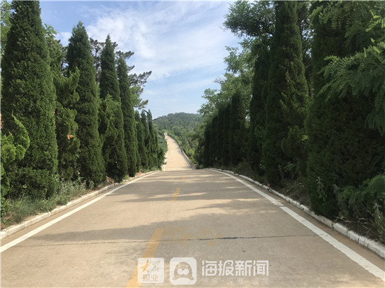 山东三生三美,三生三美看山东