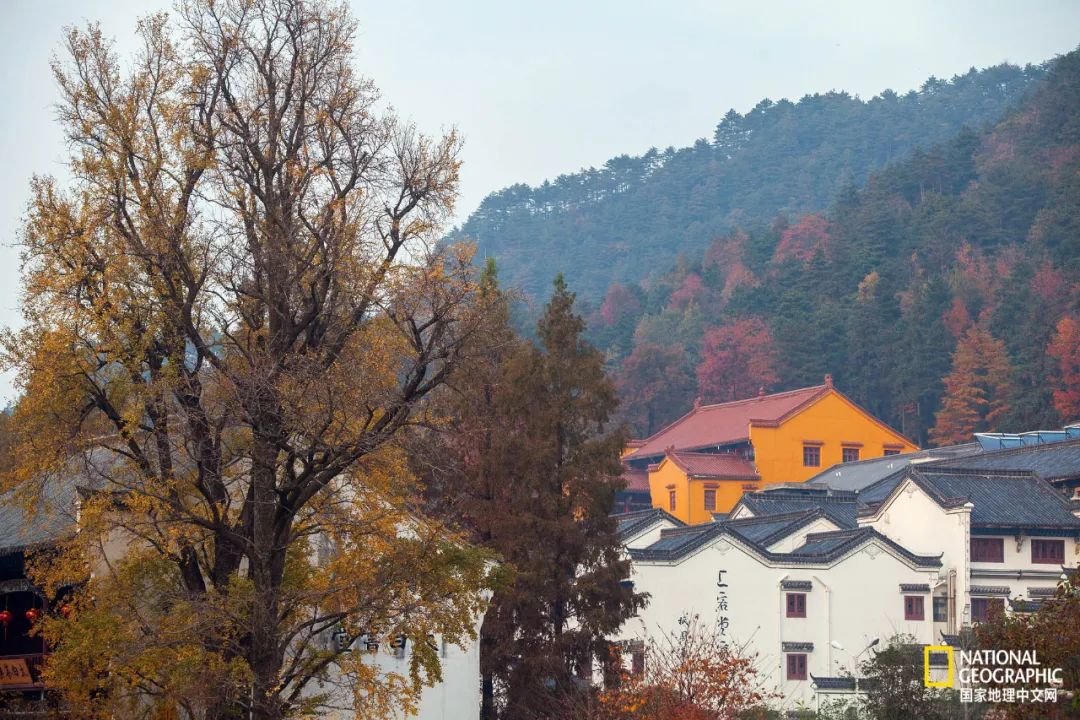 九华山不能去后山吗,九华山必须要爬吗