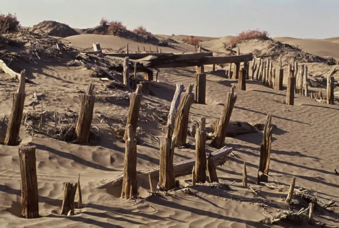 塔里木大沙漠能绿化吗,除了无人区哪里还有戈壁滩