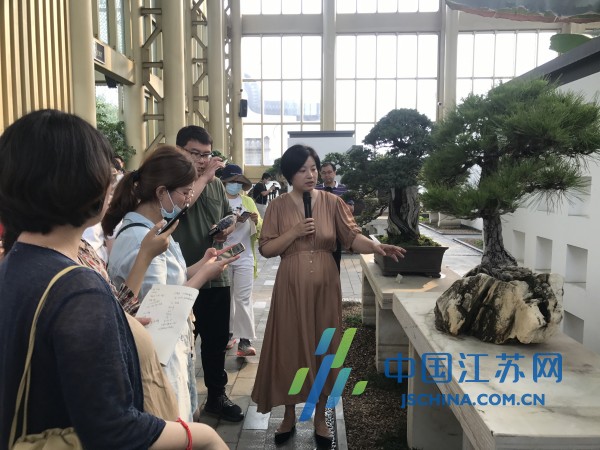 走向我们的小康生活视频,走向我们的小康生活辽宁