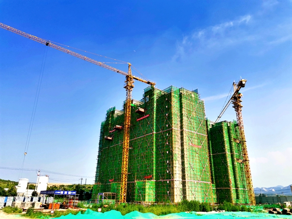 咬定目标不放松砥砺奋进铸辉煌,咬定青山不放松的战略定力