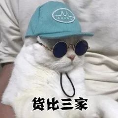 6000块钱买的香奈儿,99元就可以买到的快乐