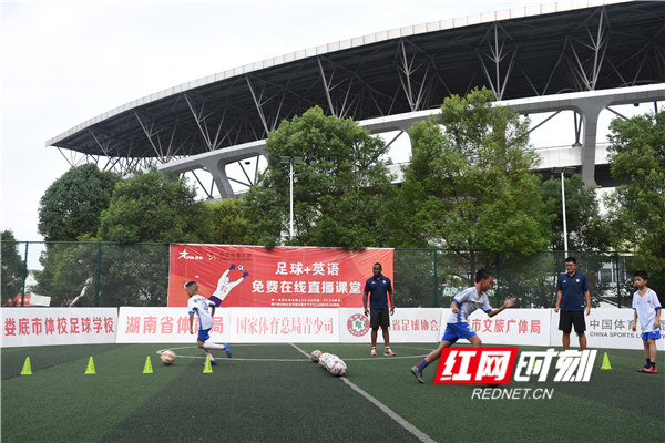 超3000万人次观看！娄底“英语+足球”公益直播火爆网络