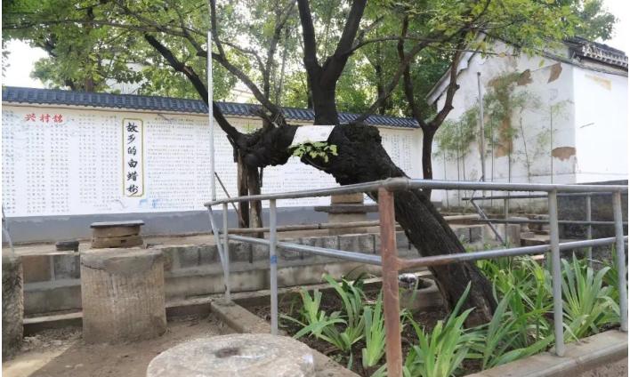 小城记忆朗诵,小城记忆邓丽君