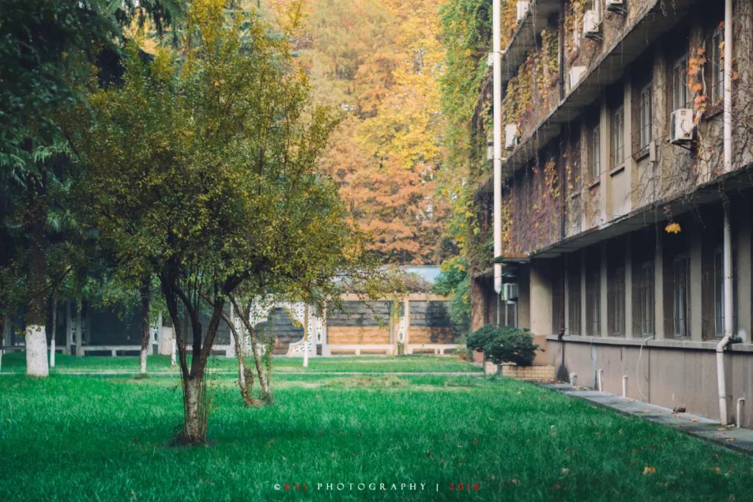 你好这里是成都,校园生活武汉科技大学