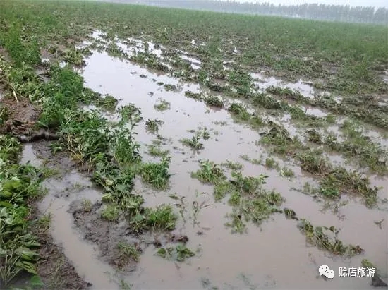 郑长春长篇小说全文,长篇小说郑长春