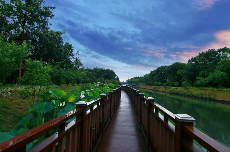 上海乡村振兴产业基地,上海宝山开发定位