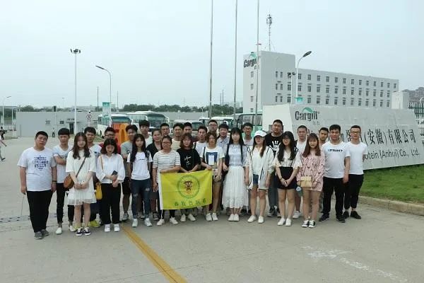 从a到z的英语歌,从a到z女声版