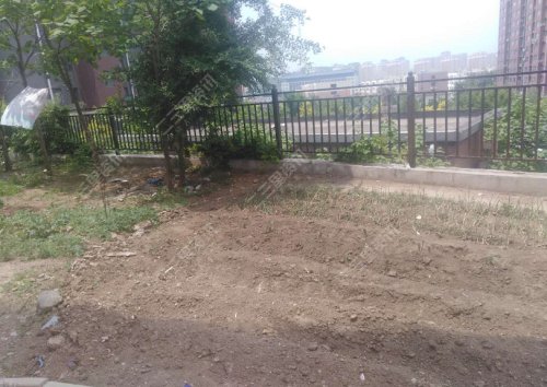 「帮办第81期」辽源银河花园小片荒“死灰复燃”了？社区：头疼