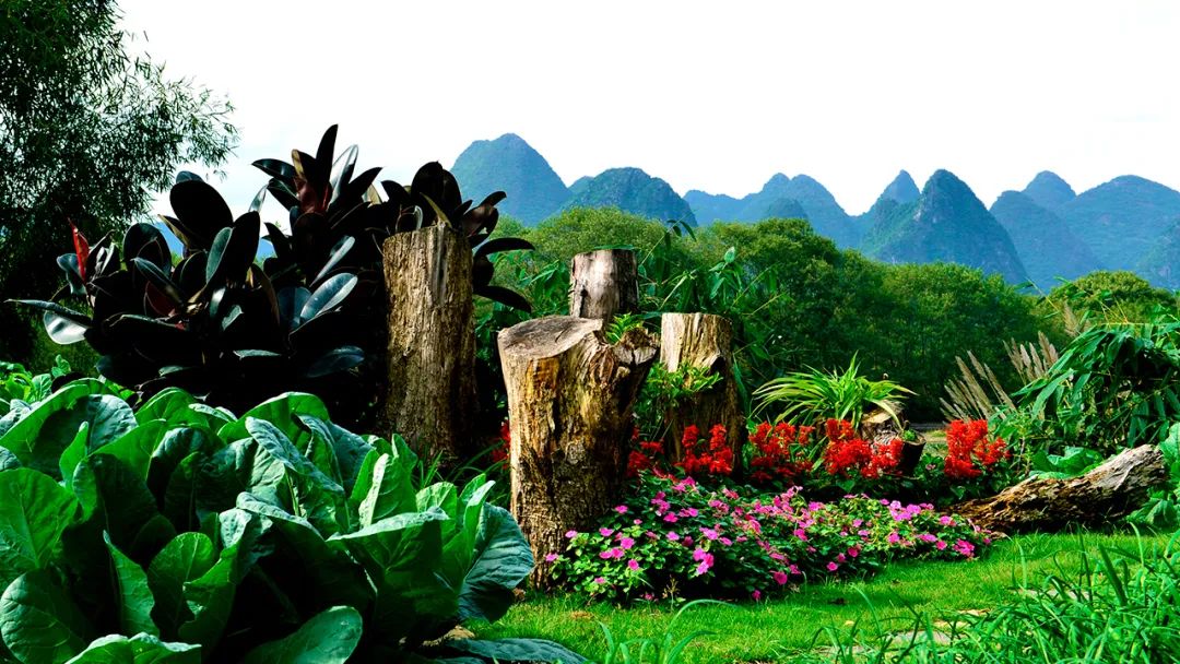 比买一送一还划算，全年不涨价！享山水画里329㎡双卧别墅，玩皮划艇漂流