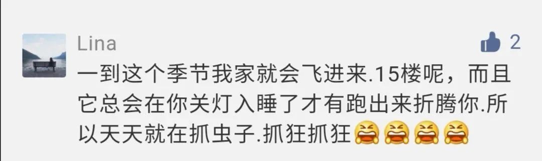 肉眼很难看到的小黑虫子,常见的小黑虫