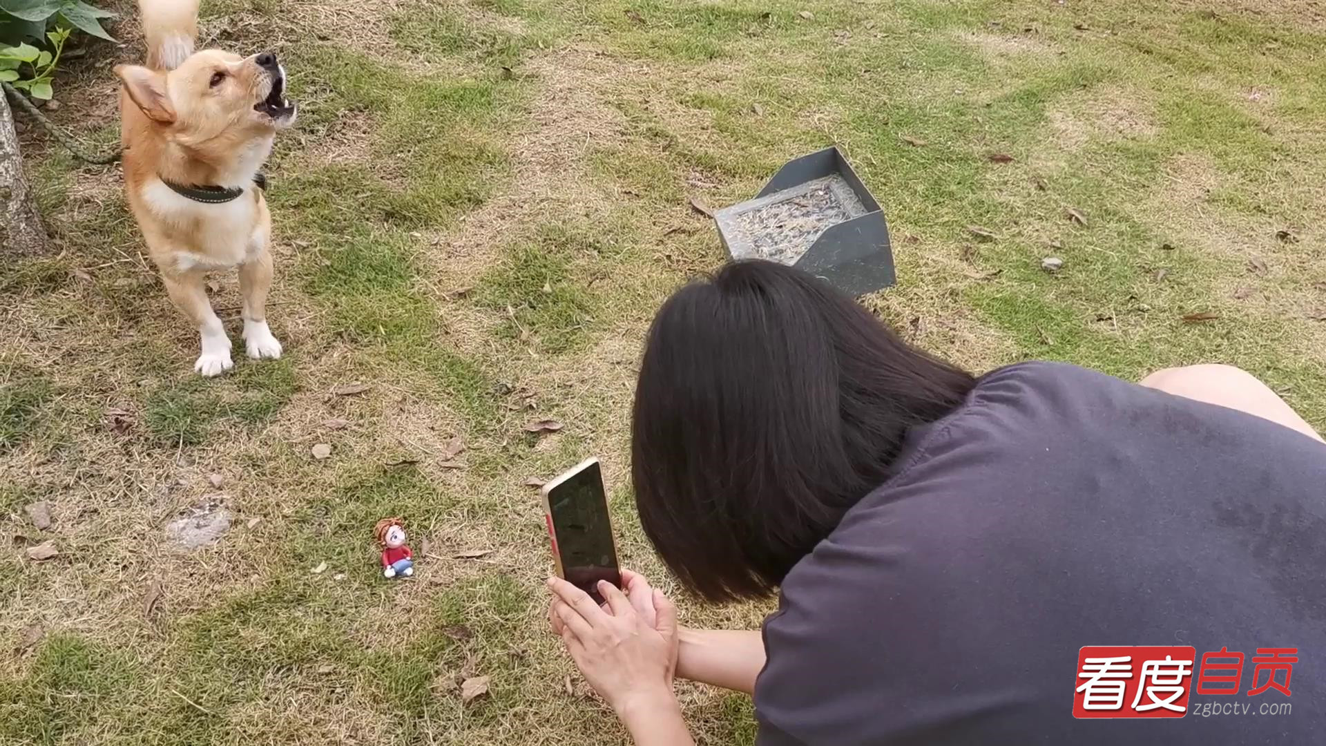 一起来康康的视频,一起来康康