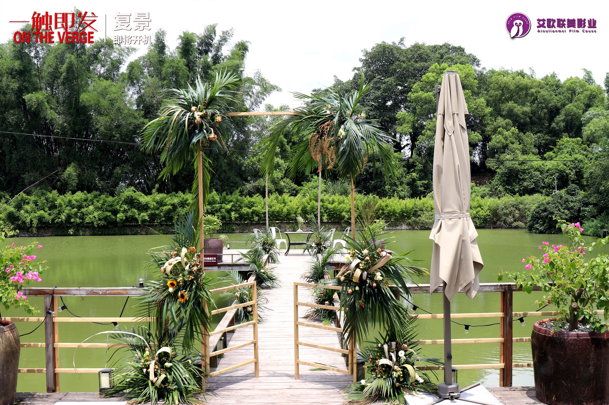 一触即发电影上映时间,一触即发电视剧更新时间