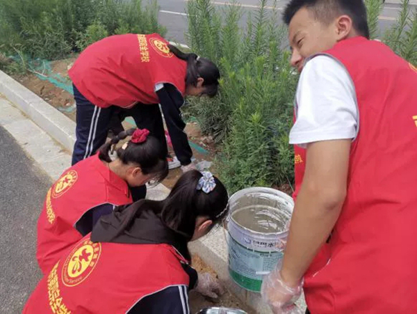 美化环境志愿者服务活动,美化环境志愿者先行