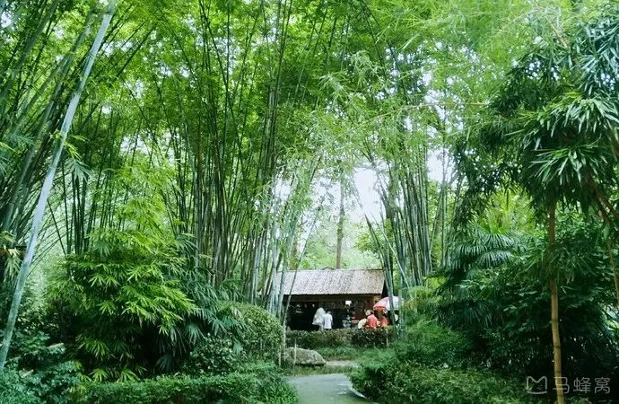 竹山旅游线路大全,竹山周边一日游旅游景点推荐