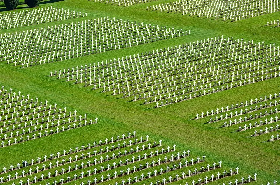 全世界最绿的50张照片