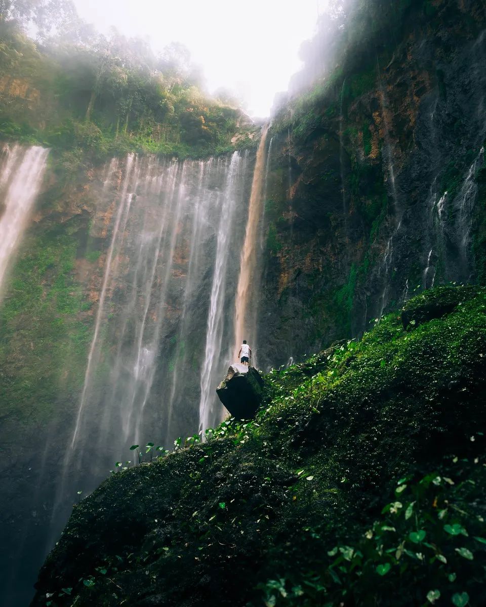 全世界最绿的50张照片