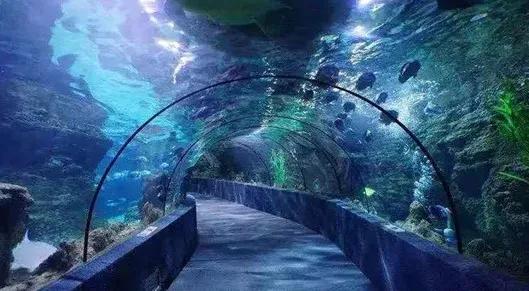 宫崎骏眼中的夏天图片,宫崎骏眼里的夏天滤镜