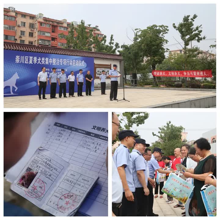 南通发现流浪狗应该找哪个部门,鹿城滨江开展流浪犬整治行动