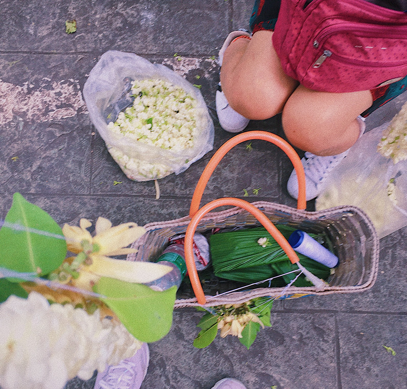 黄桷兰成都,成都黄桷兰多少钱