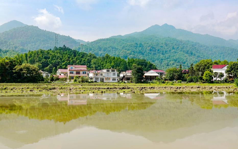 江西日报头版头条,江西日报报道共青