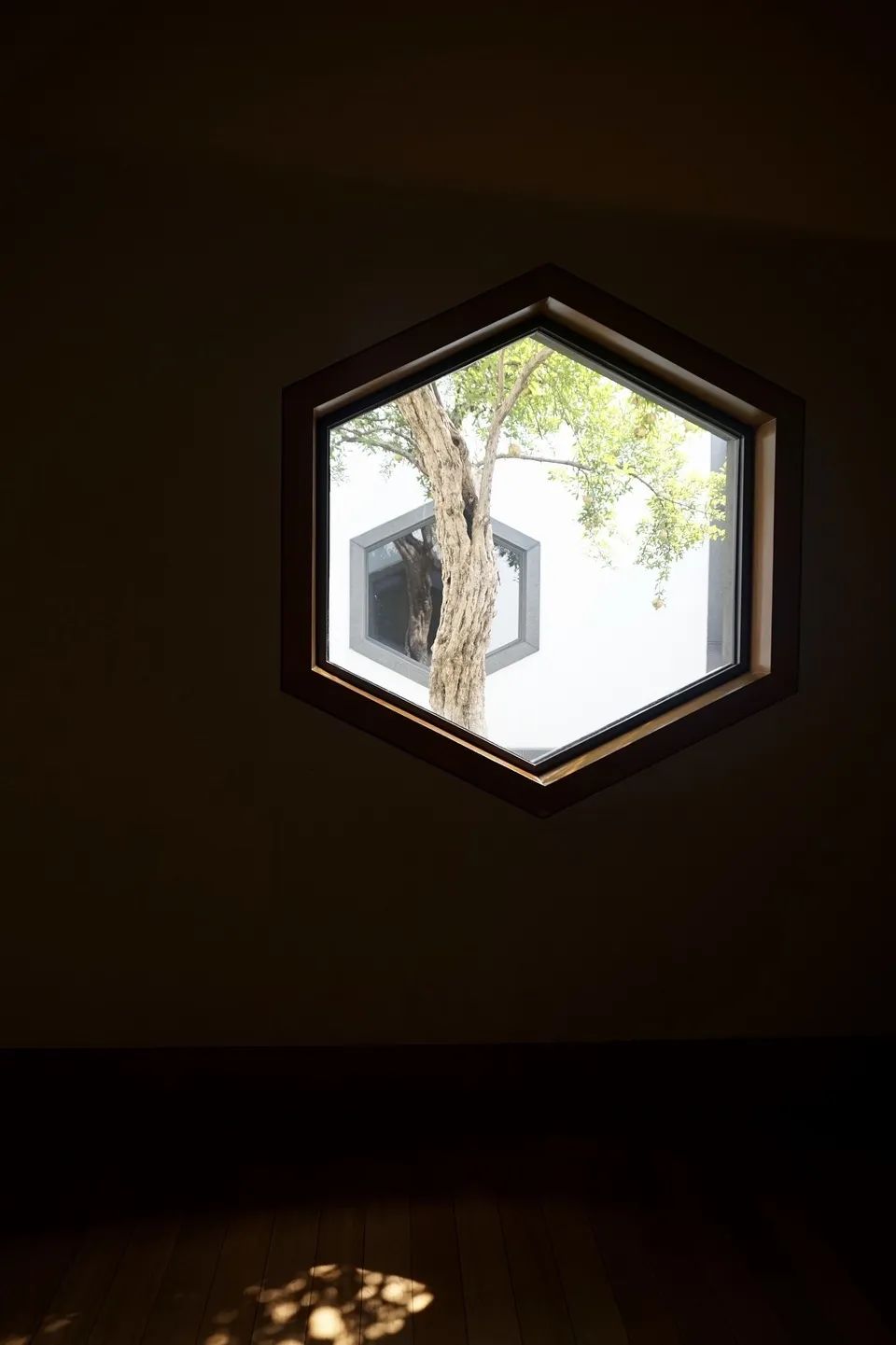 股市疫情,股市疫情下逆势上涨