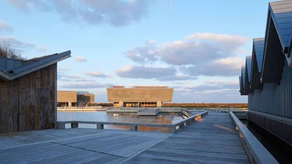 探索崇明东滩湿地公园的奥秘,崇明东滩湿地科研中心